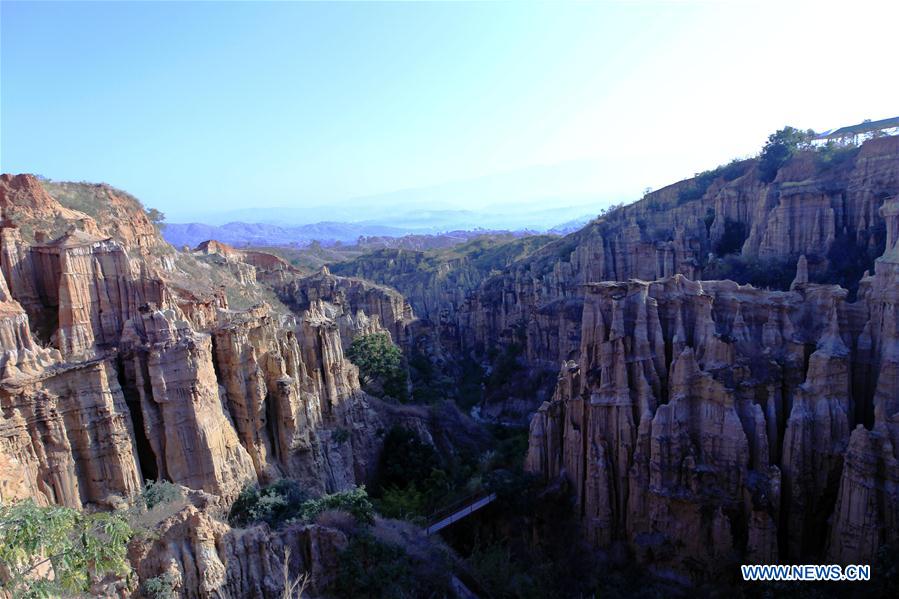 CHINA-YUNNAN-YUANMOU-EARTH FOREST (CN)