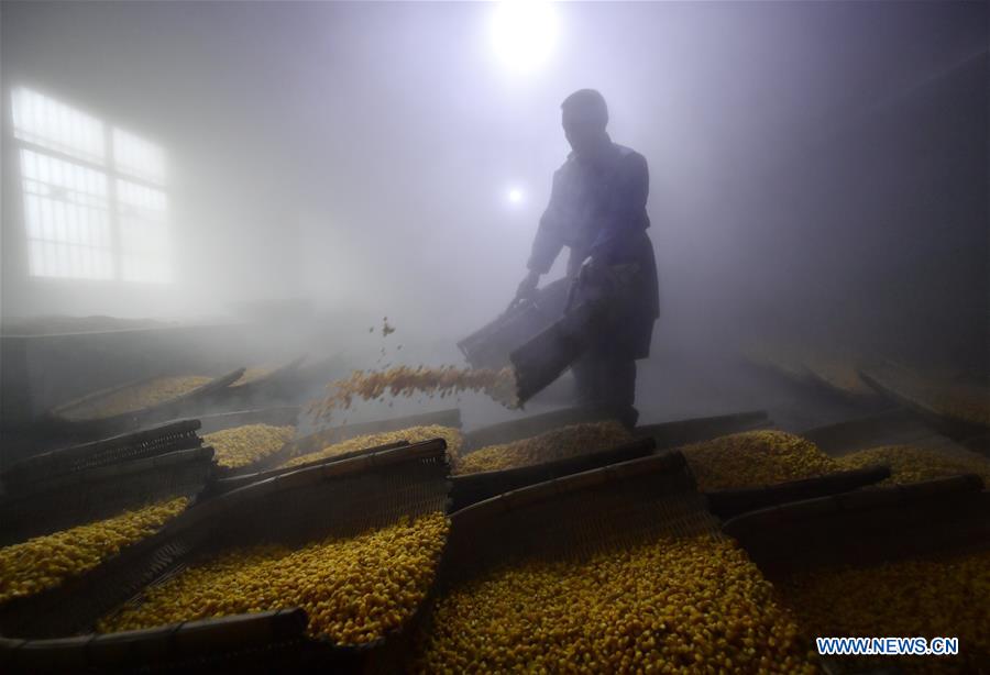 #CHINA-HUBEI-XUAN'EN-CORN WINE (CN)