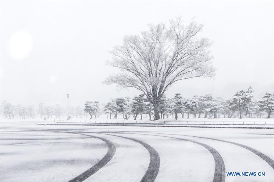 JAPAN-TOKYO-SNOW