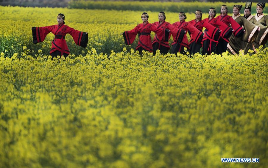 CHINA-SHAANXI-COLE FIELD-SHOW (CN)