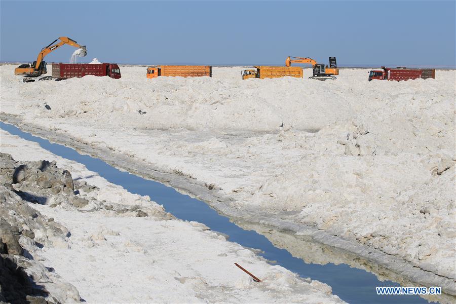 #CHINA-XINJIANG-SALT HARVEST (CN)