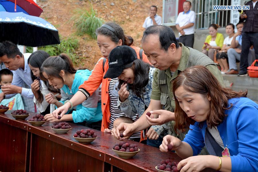 #CHINA-GUIZHOU-WAXBERRY-FESTIVAL (CN)