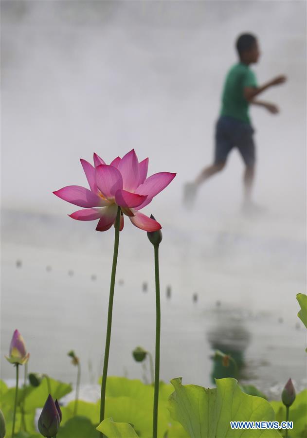 CHINA-BEIJING-LOTUS FLOWER (CN)