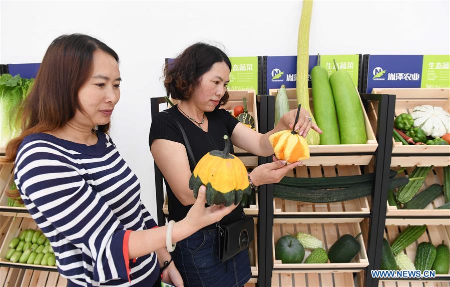 CHINA-YUNNAN-WUDING-VEGETABLE SEEDS EXPO (CN)