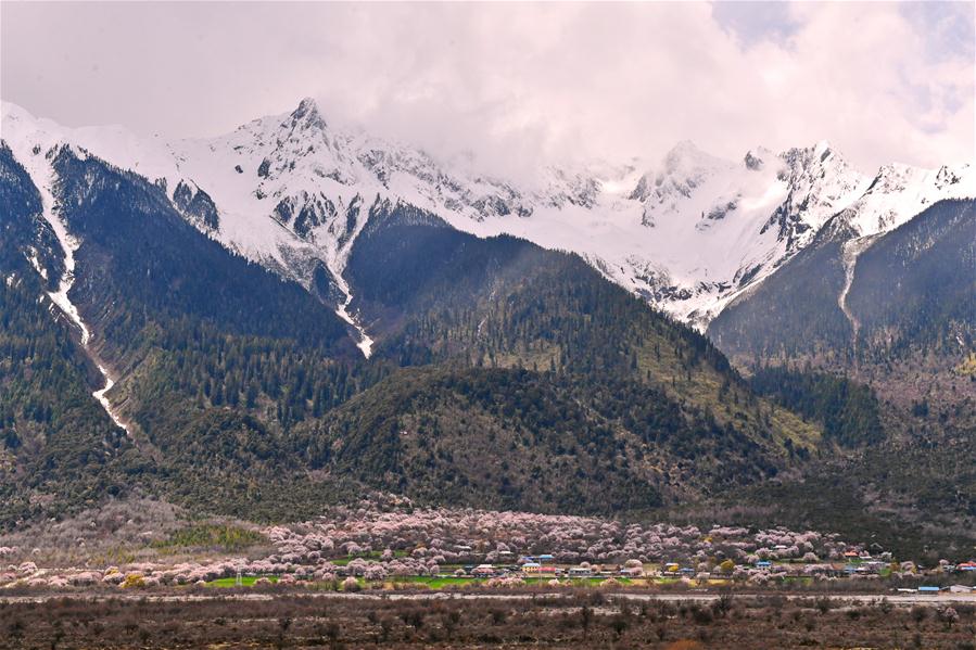 Xinhua Headlines: Qinghai-Tibet Plateau still one of cleanest regions on earth