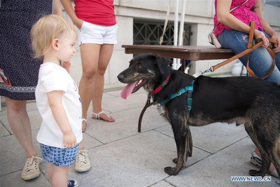 U.S.-WASHINGTON D.C.-DOGS-ADOPTION