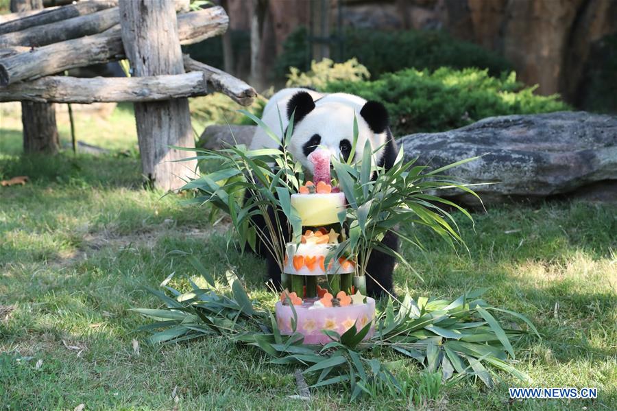 FRANCE-SAINT-AIGNAN-PANDA-ANNIVERSARY