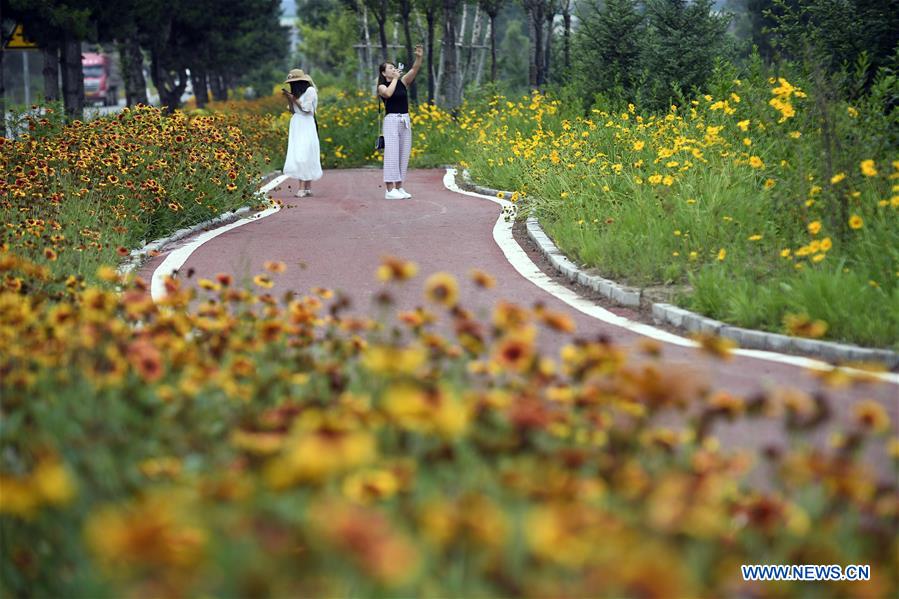 CHINA-NINGXIA-GUYUAN-LIUPANSHAN (CN)