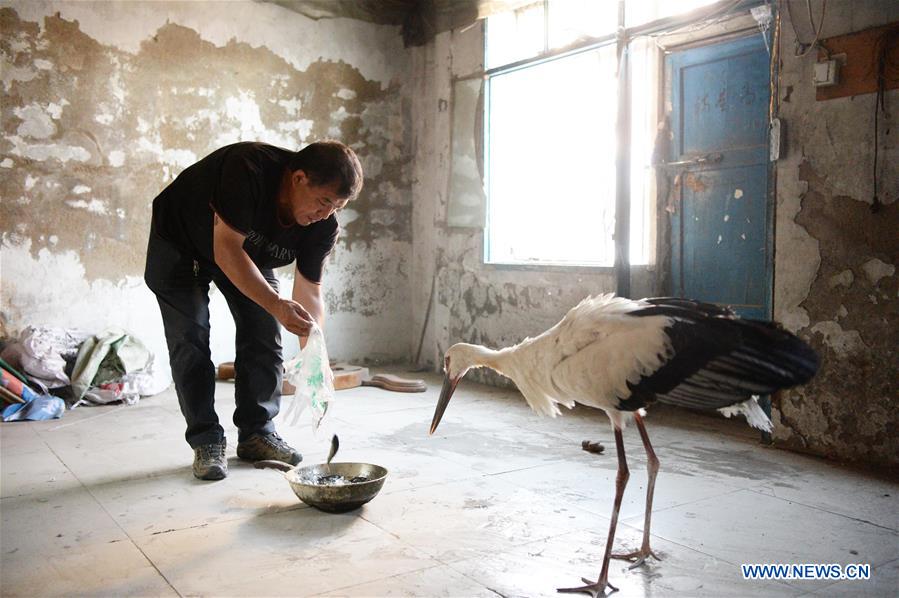 CHINA-DAQING-ORIENTAL WHITE STORK-RELEASE (CN)