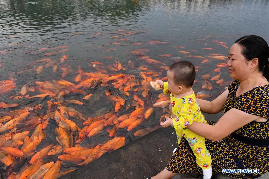 CHINA-FUJIAN-RIVER-FISH (CN)