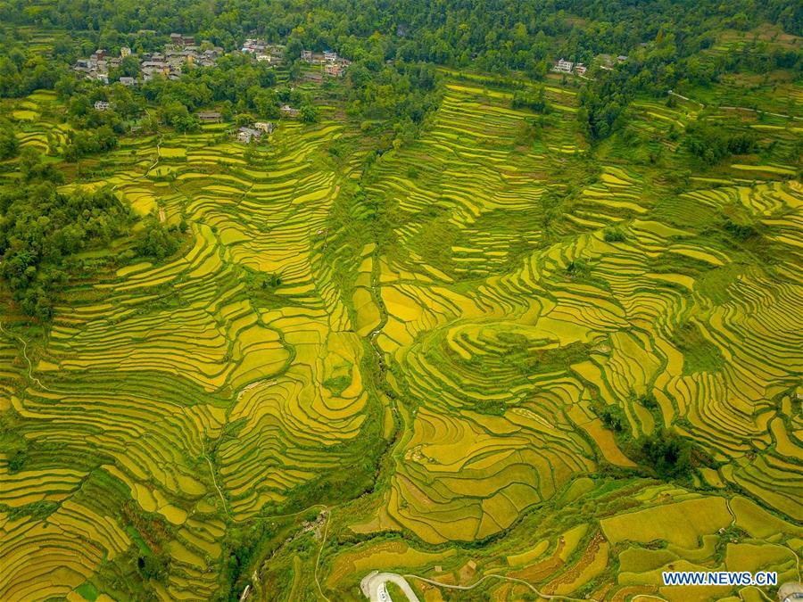 CHINA-CHONGQING-FARMWORK-TOURISM (CN)