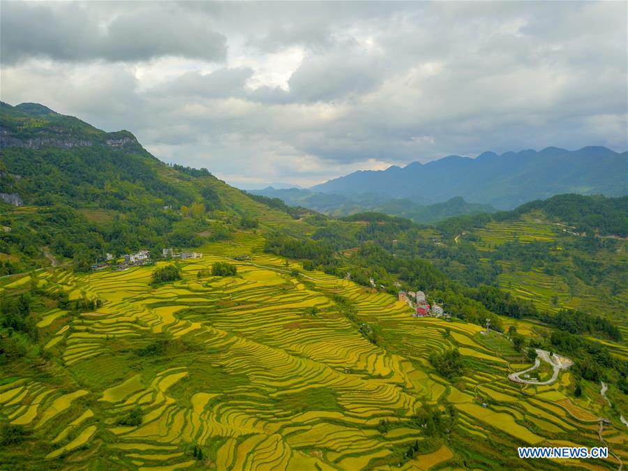 CHINA-CHONGQING-FARMWORK-TOURISM (CN)