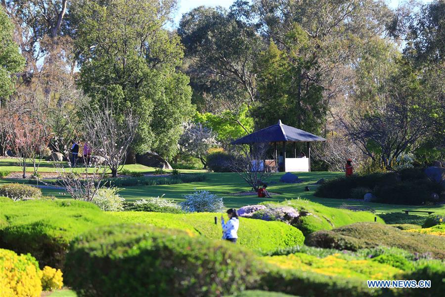 AUSTRALIA-CANBERRA-JAPANESE GARDEN