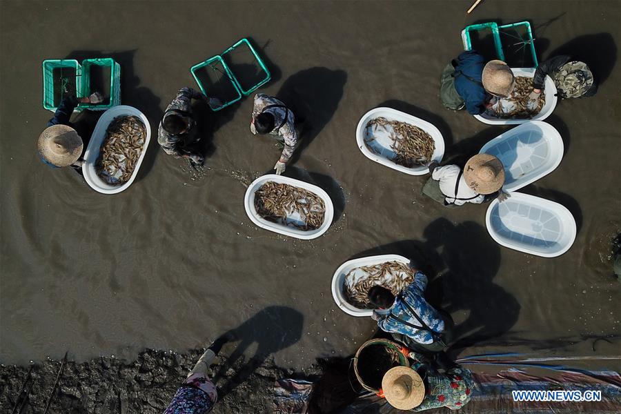 CHINA-ZHEJIANG-HUZHOU-FISHERY-SHRIMP (CN)