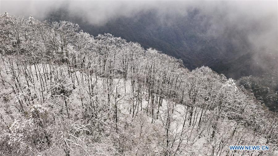 CHINA-SHAANXI-GUIGULING-VIEWS (CN)