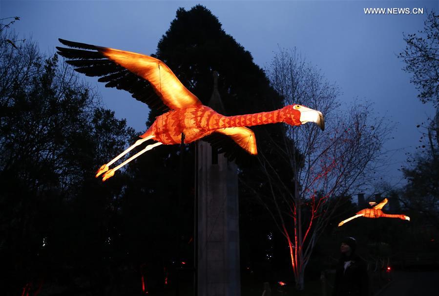 BRITAIN-LONDON-CHRISTMAS AT LONDON ZOO