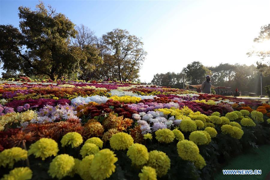 PAKISTAN-ISLAMABAD-AUTUMN FLOWER SHOW