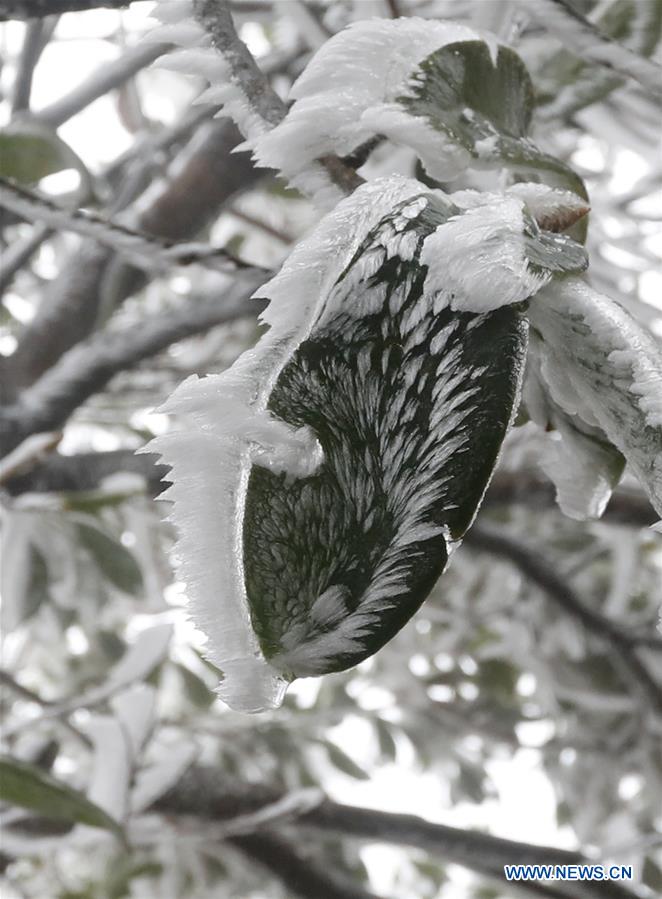 #CHINA-WINTER-RIME (CN)