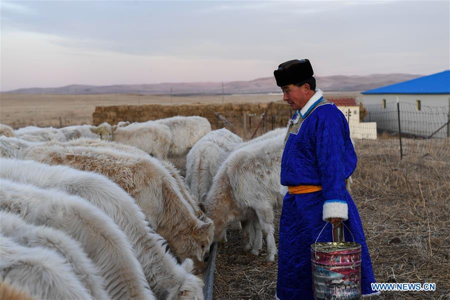 CHINA-INNER MONGOLIA-WEST UJIMQIN-AIR-DRIED BEEF (CN)