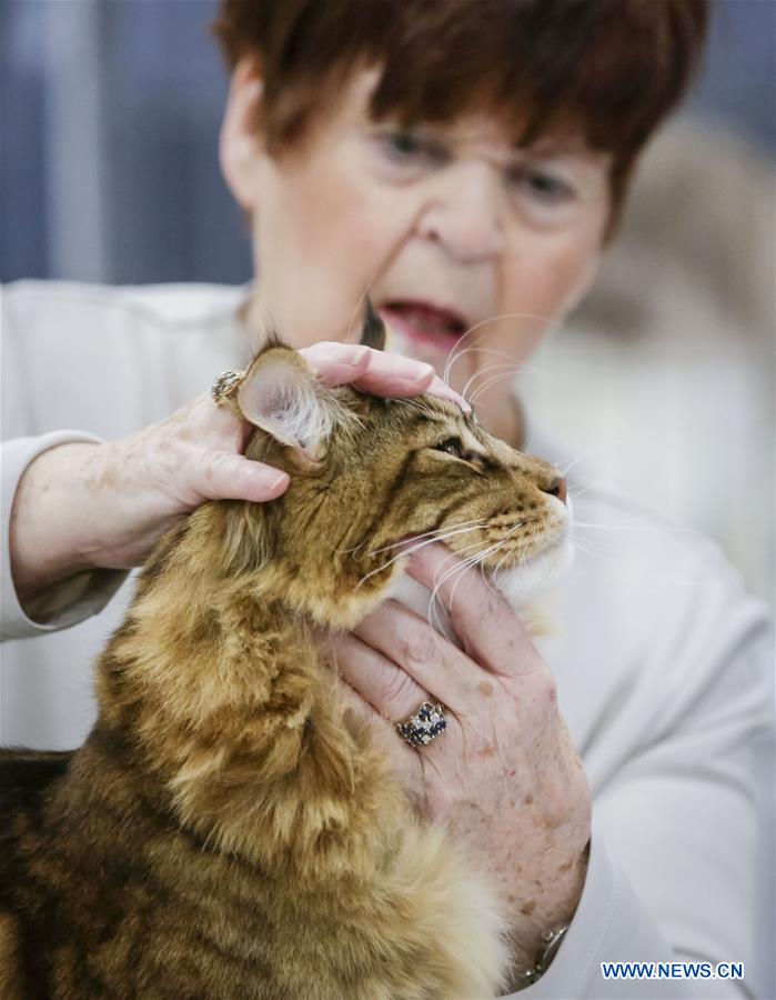 CANADA-VANCOUVER-CAT SHOW