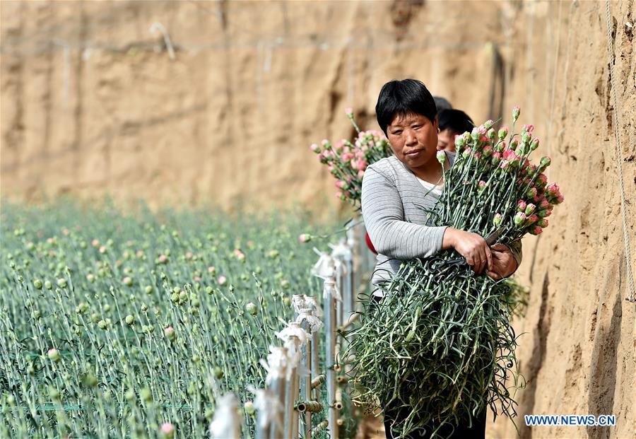 CHINA-SHANXI-HUGUAN-AGRICULTURE (CN)