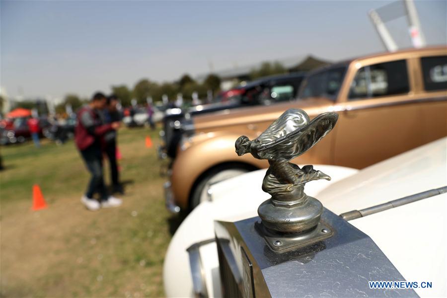 EGYPT-CAIRO-VINTAGE CAR-EXHIBITION