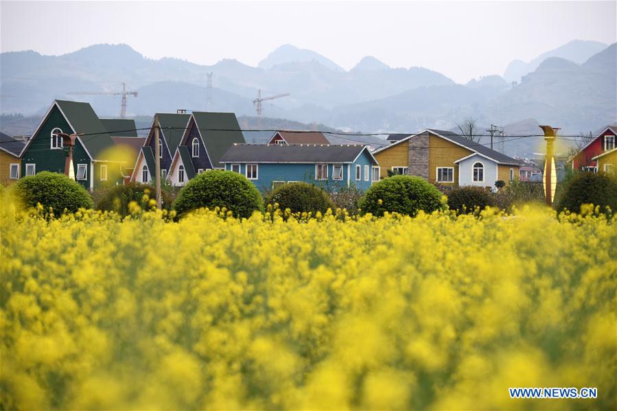 CHINA-GUIZHOU-SPRING SCENERY (CN)