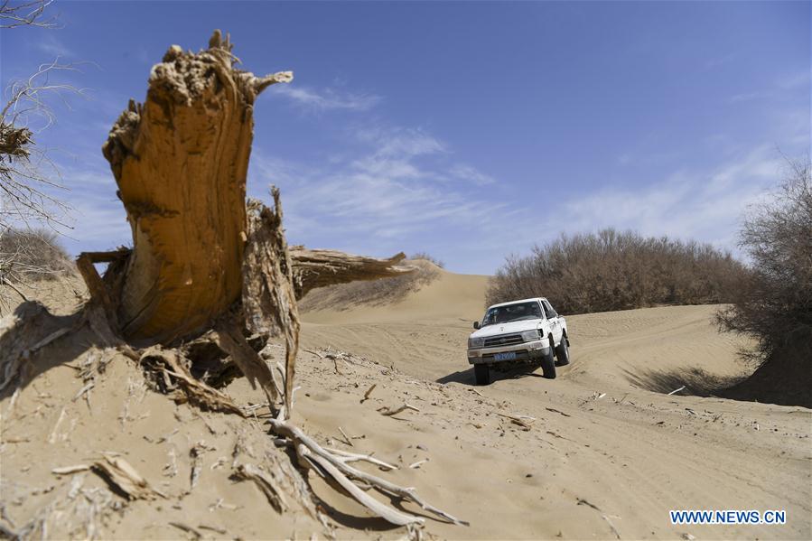 Xinhua Headlines: Farewell to the desert: fighting poverty the Chinese way