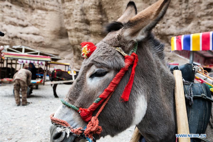 CHINA-GANSU-JINGTAI-DONKEY RIDE-BUSINESS (CN)