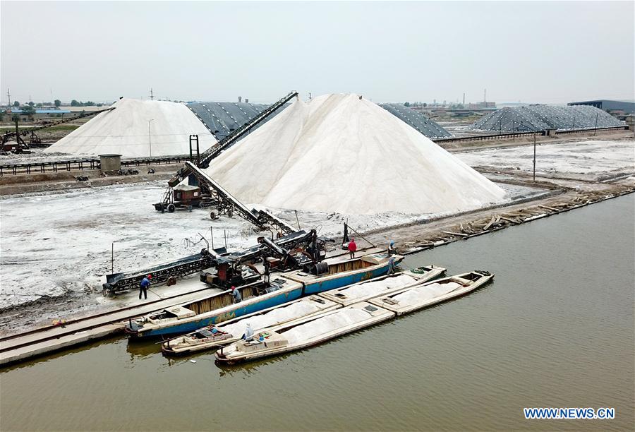 CHINA-HEBEI-CAOFEIDIAN-SEA SALT-HARVEST (CN)