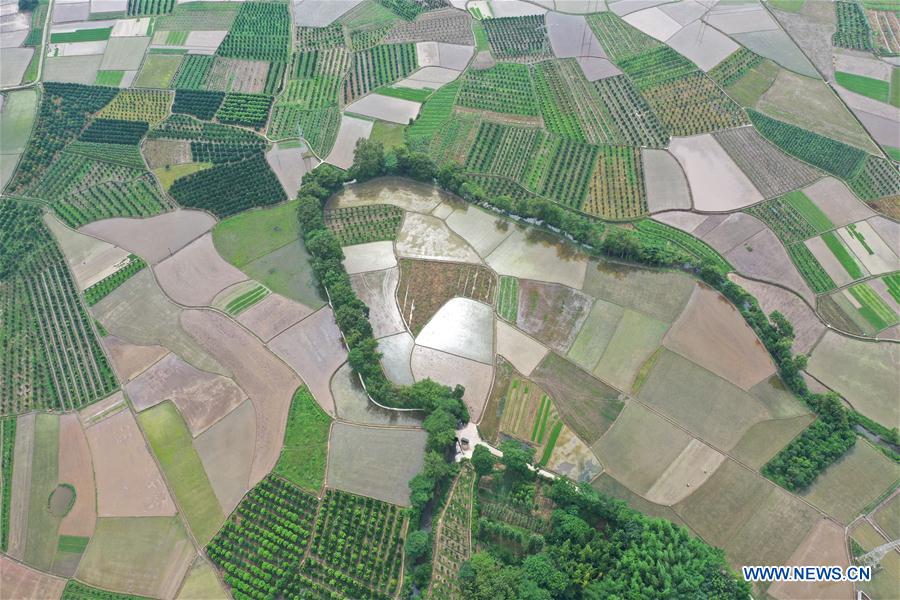 CHINA-GUANGXI-FARMLAND SCENERY (CN)