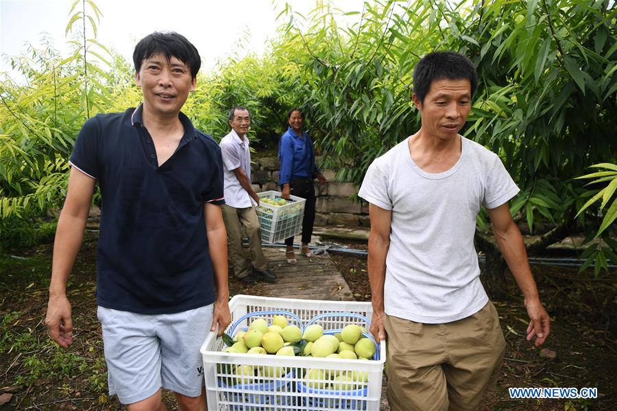 CHINA-CHONGQING-BANAN-PEACH-RURAL DEVELOPMENT (CN)