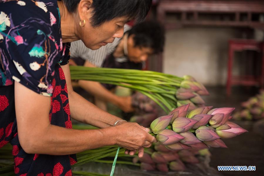 CHINA-ZHEJIANG-JIANDE-LOTUS-ECONOMY (CN)