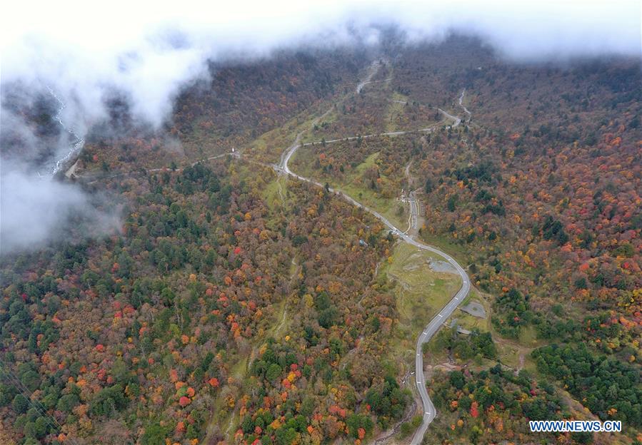 CHINA-SICHUAN-TIANQUAN-AUTUMN SCENERY (CN)