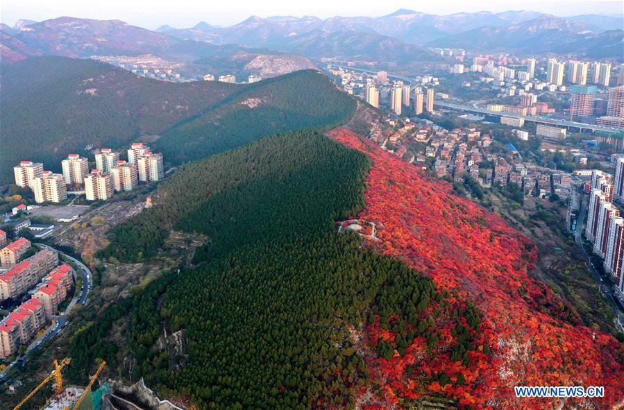 CHINA-SHANDONG-JINAN-AUTUMN SCENERY (CN)