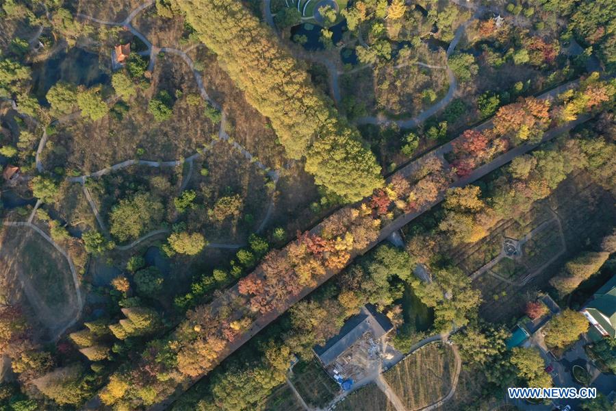 CHINA-NANJING-AUTUMN-XIAOLING MAUSOLEUM-SCENERY (CN)