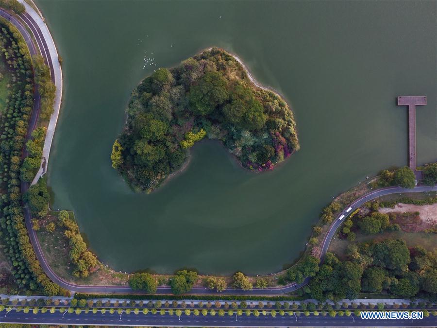 CHINA-FUJIAN-ZHANGZHOU-ENVIRONMENT-EGRETS (CN)