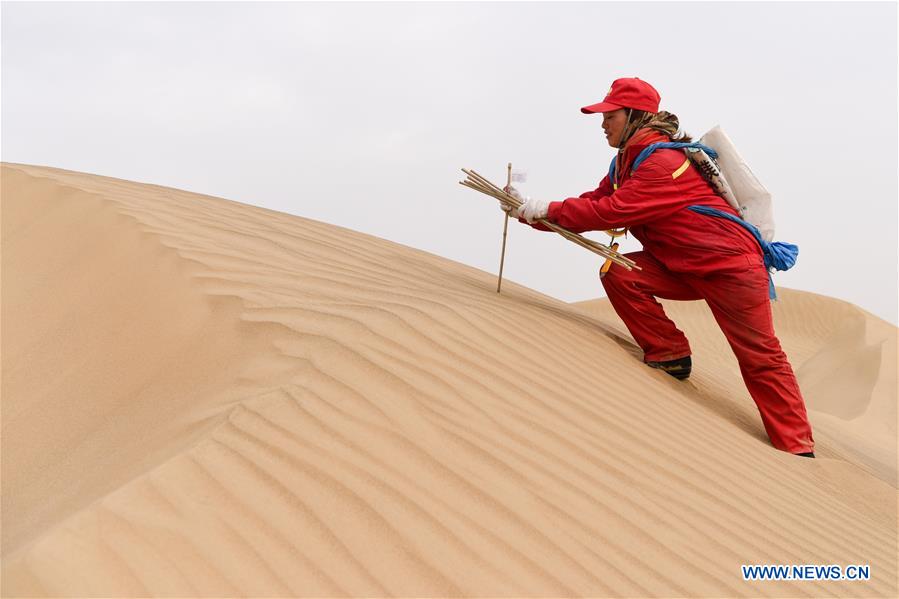 CHINA-XINJIANG-TAKLIMAKAN DESERT-OIL WORKER (CN)