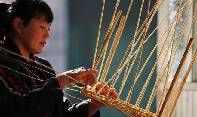 Willow manufacturing develops in China's Shandong