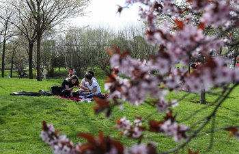 12th Cherry Blossom Festival held in eastern Berlin, Germany