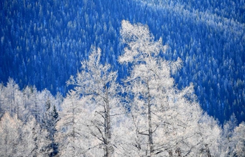 Winter scenery of Keketuohai scenic spot in NW China's Xinjiang