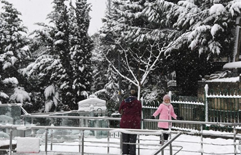 Snowfall hits Istanbul, Turkey