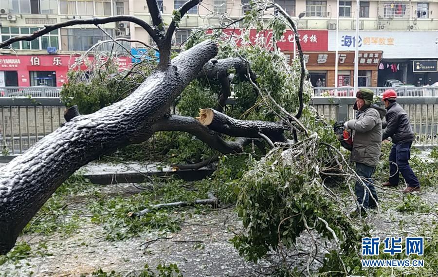 （新華全媒頭條）（7）雨雪冰凍中，他們奮力前行——基層黨員干群抗擊冰雪災(zāi)害紀實