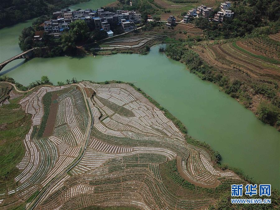 （春季美麗生態(tài)）（14）飛閱邊關(guān)山田春景