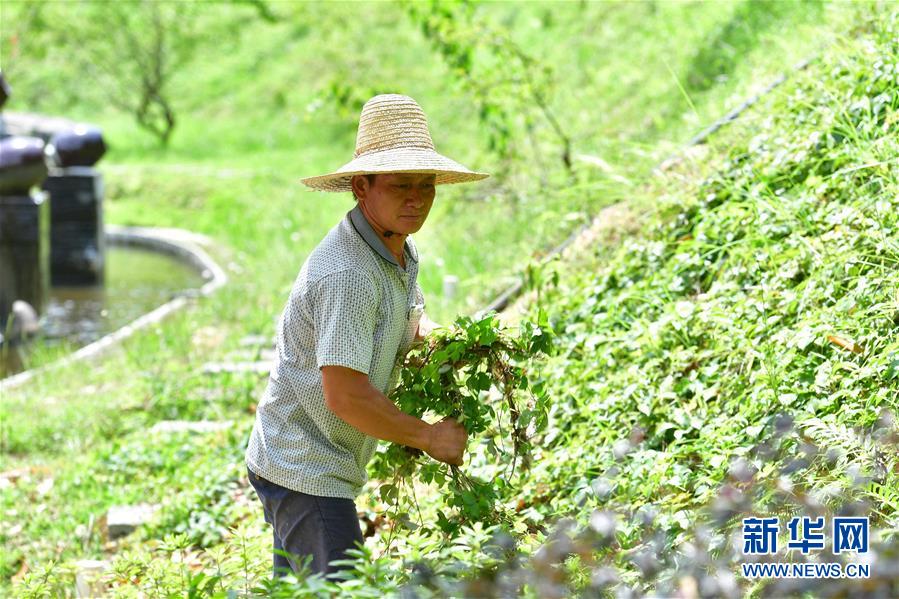 （社會）（10）苗山脫貧影像志——把苗寨搬進(jìn)景區(qū) 讓貧困戶住進(jìn)城里