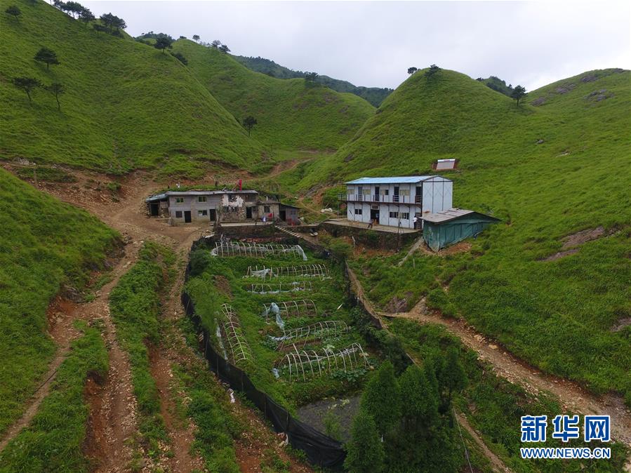 （新華全媒頭條·圖文互動）（3）一個人，一座山——劉真茂的生命守望