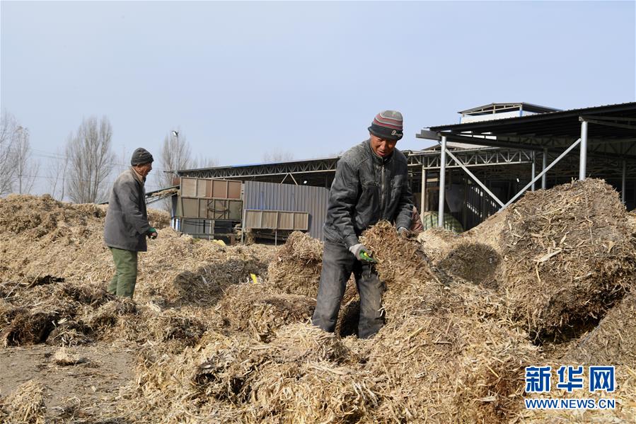 （在習(xí)近平新時代中國特色社會主義思想指引下——新時代新氣象新作為·鄉(xiāng)村振興戰(zhàn)略·圖文互動）（2）“與其放火，不如打包”——山西渾源秸稈綜合再利用見聞