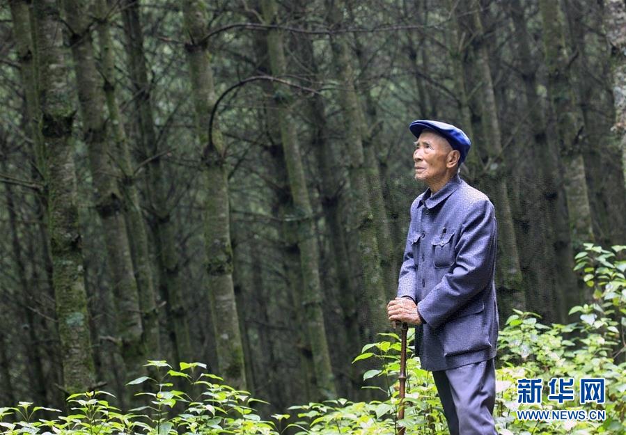 （改革先鋒風(fēng)采·圖文互動）（1）楊善洲：綠了荒山造福百姓的“草鞋書記”