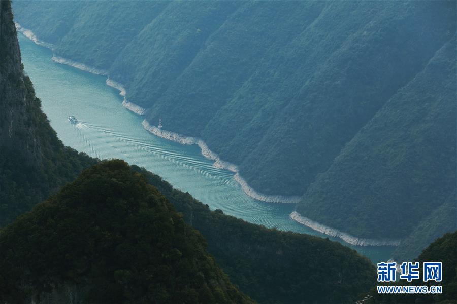 （在習(xí)近平新時(shí)代中國(guó)特色社會(huì)主義思想指引下——新時(shí)代新作為新篇章）（14）重慶巫山：“生態(tài)寶貝”變身“搖錢樹”