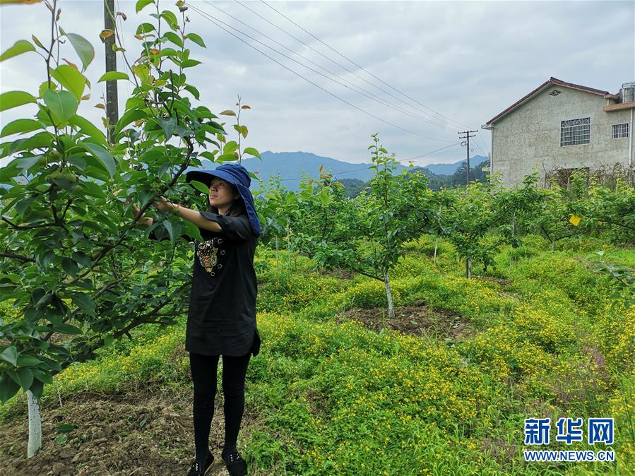 （壯麗70年·奮斗新時(shí)代·圖文互動(dòng)）（1）縣域經(jīng)濟(jì)強(qiáng)縣的“扶貧經(jīng)”——來自湖南瀏陽市的脫貧攻堅(jiān)調(diào)查